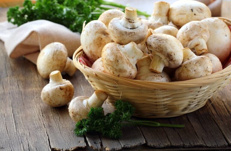 Champignon