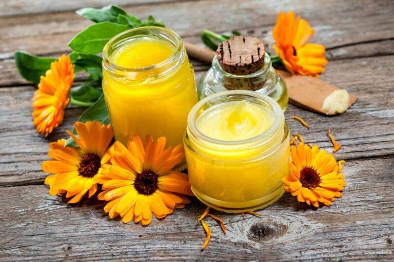 Calendula